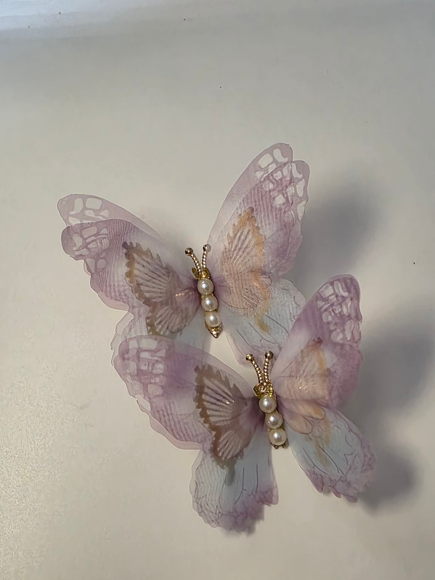 Dancing wings clip