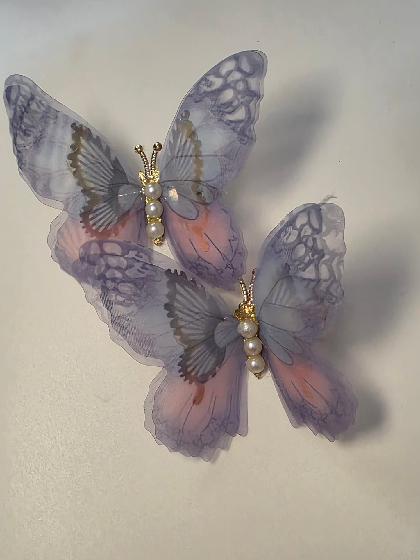 Dancing wings clip