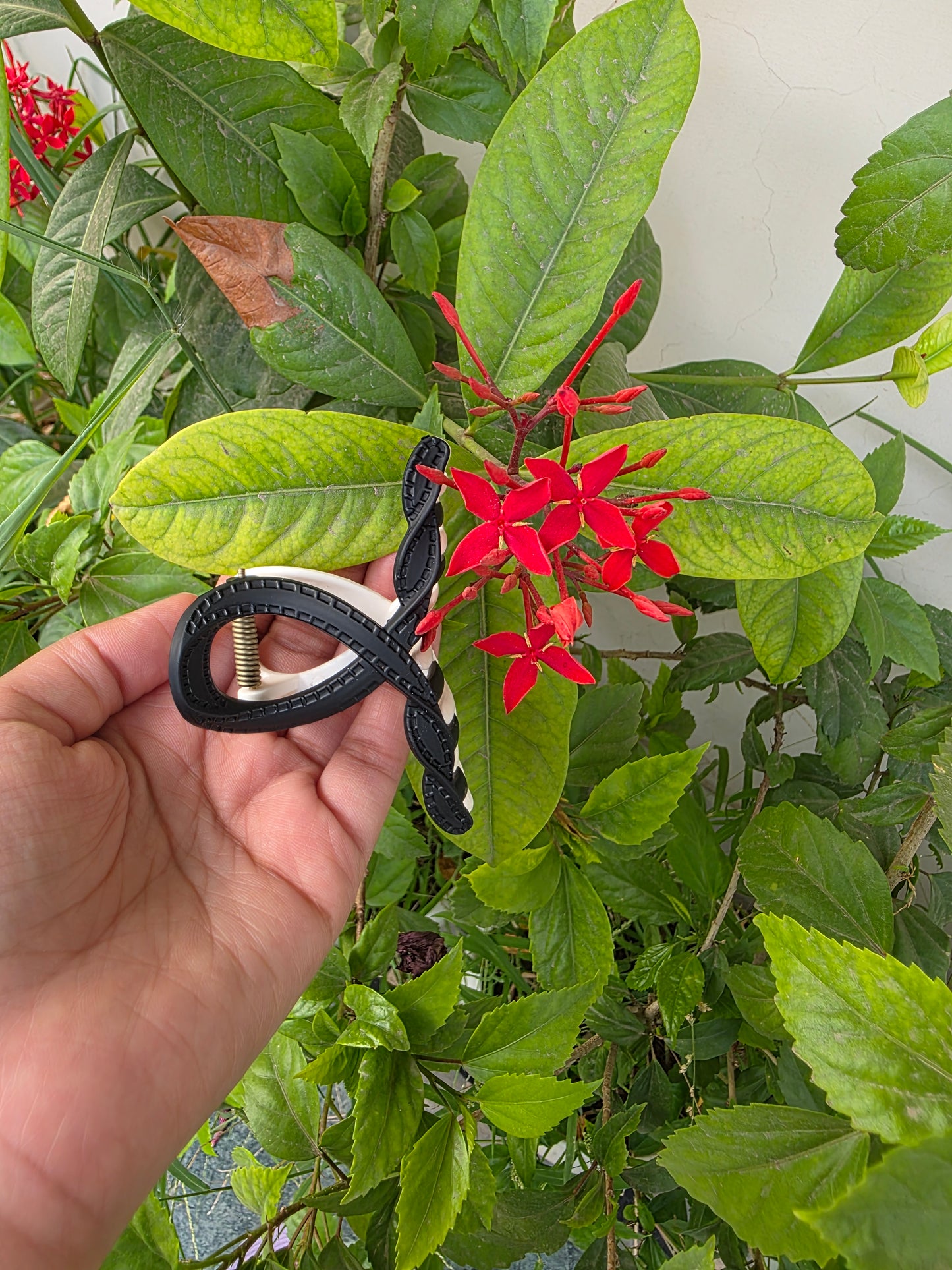 Chess Daisy clip
